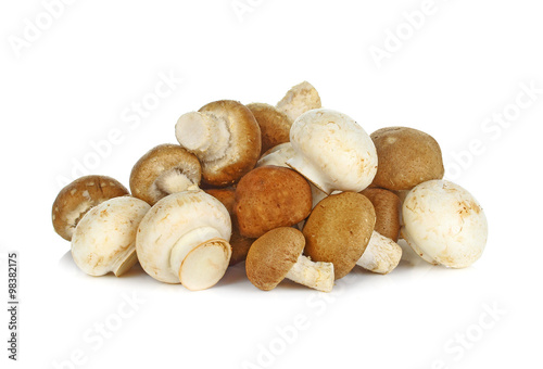 shiitake and champignon mushroom on white background