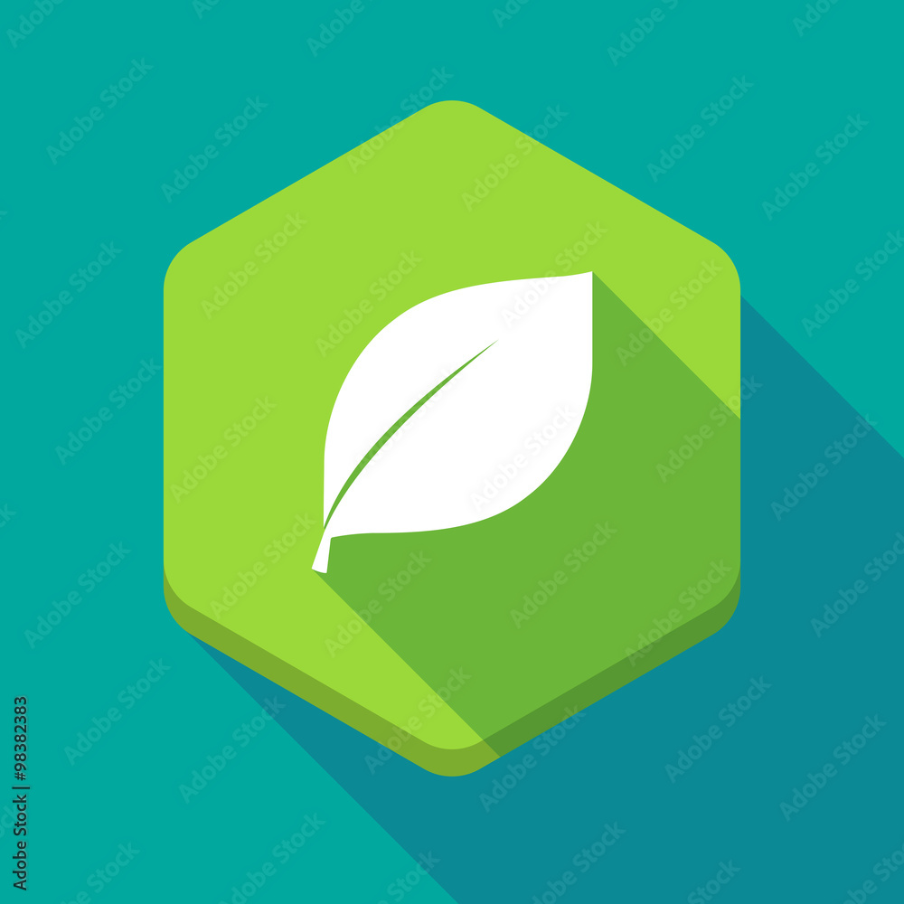 Long shadow hexagon icon with a leaf Long shadow hexagon icon with a leaf