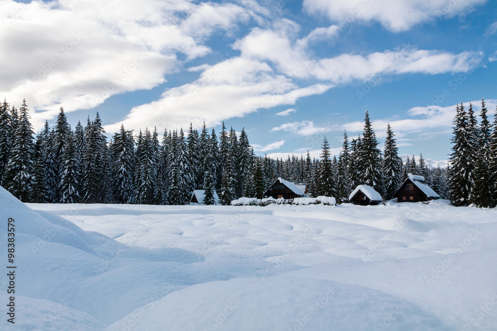 Cosy winter scene with snow covered trees in the mountains Cosy winter scene with snow covered trees in the mountains