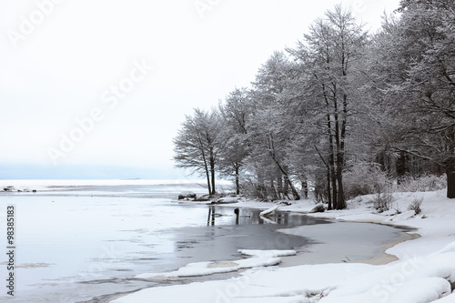 Winter landscape with snow covered trees photo