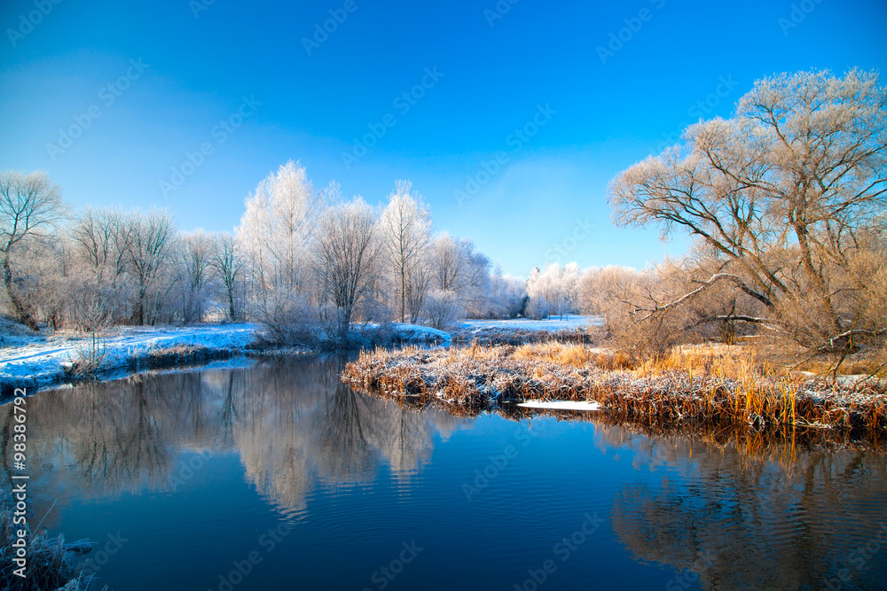 Picturesque scenery of winter.
