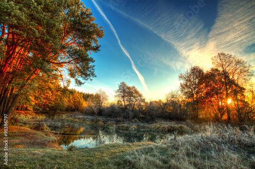 Tableau sur toile frost on trees and grass