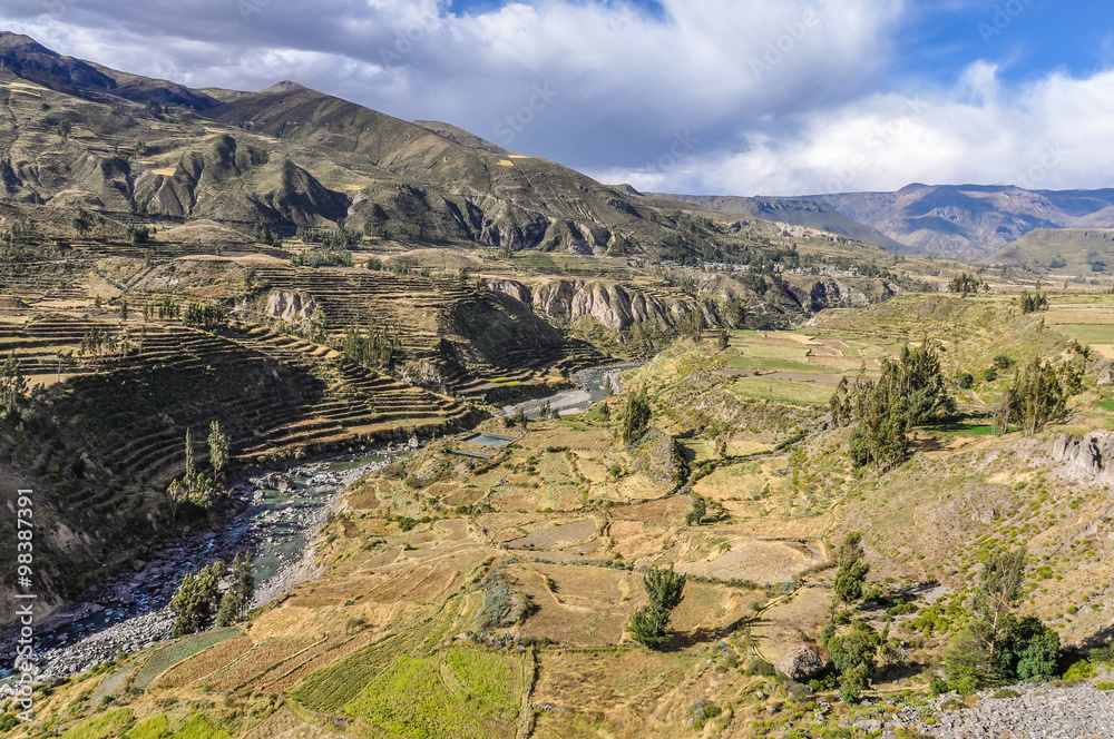 Panoramic view of the terraces in the Colca Canyon, Peru