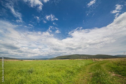 Field and blue skies in Croatia.