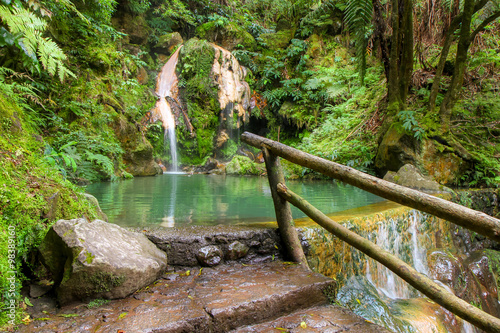 Outdoor nature swimming pool photo