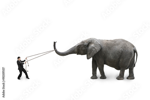 Businessman using rope pulling elephant