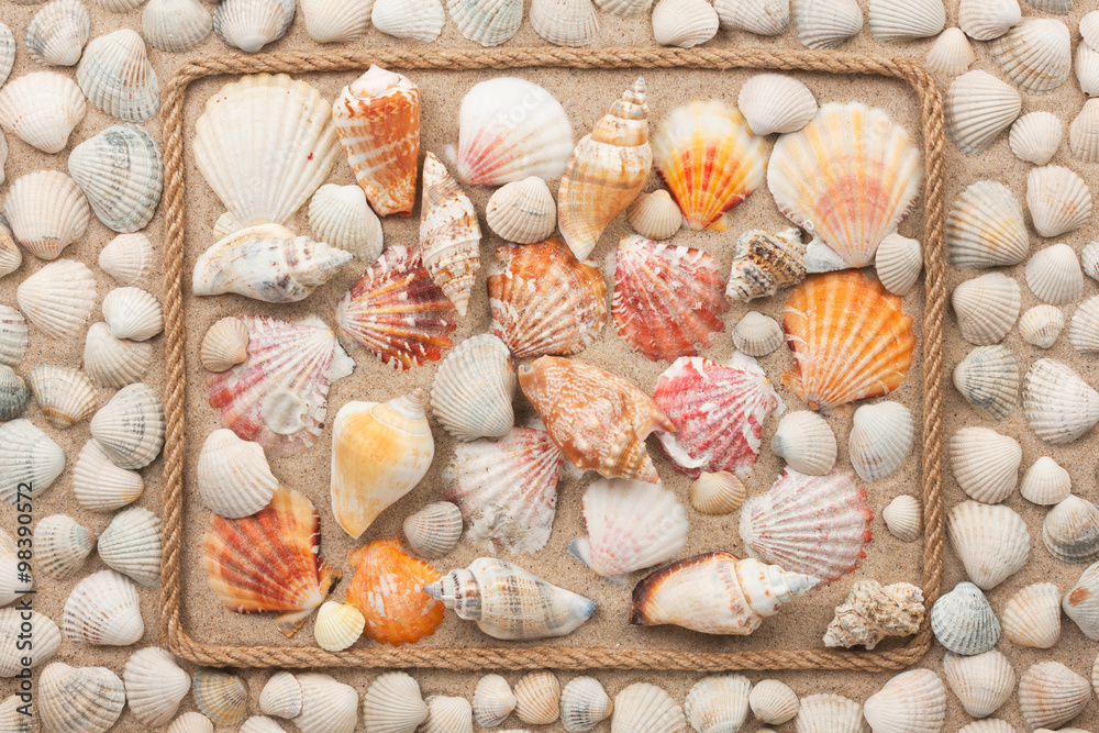 Beautiful frame of rope and sea shells on the sand