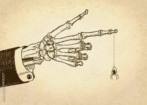 Skeleton hand with spider. Vector illustration, eps10.
