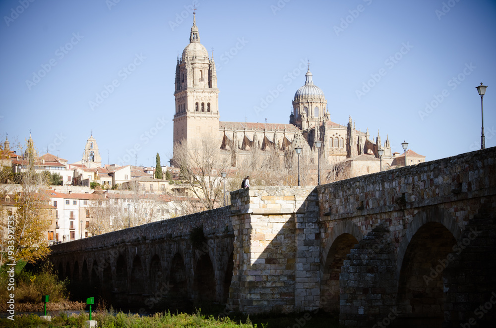 Puente romano Salamanca