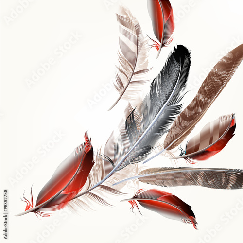 Background with bird feathers in realistic style