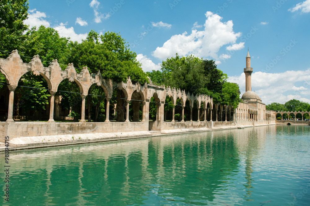 The Pool of Abraham with sacred carp in Sanliurfa, Turkey.