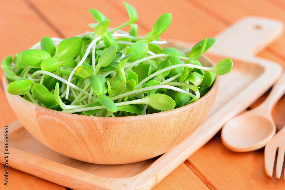 Green sunflower sprout in the bowl on wooden table Green sunflower sprout in the bowl on wooden table