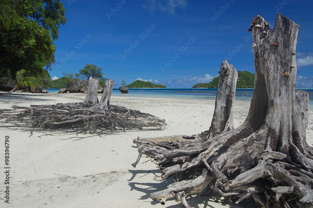 Spiaggia a Palau (micronesia) Spiaggia a Palau (micronesia)