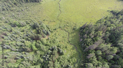 Viewed from the air a forest opens up into a flat sedge meadow wetland with a small creek runnnig through it.
