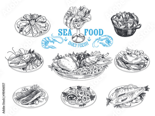 Vector hand drawn illustration with seafood. 