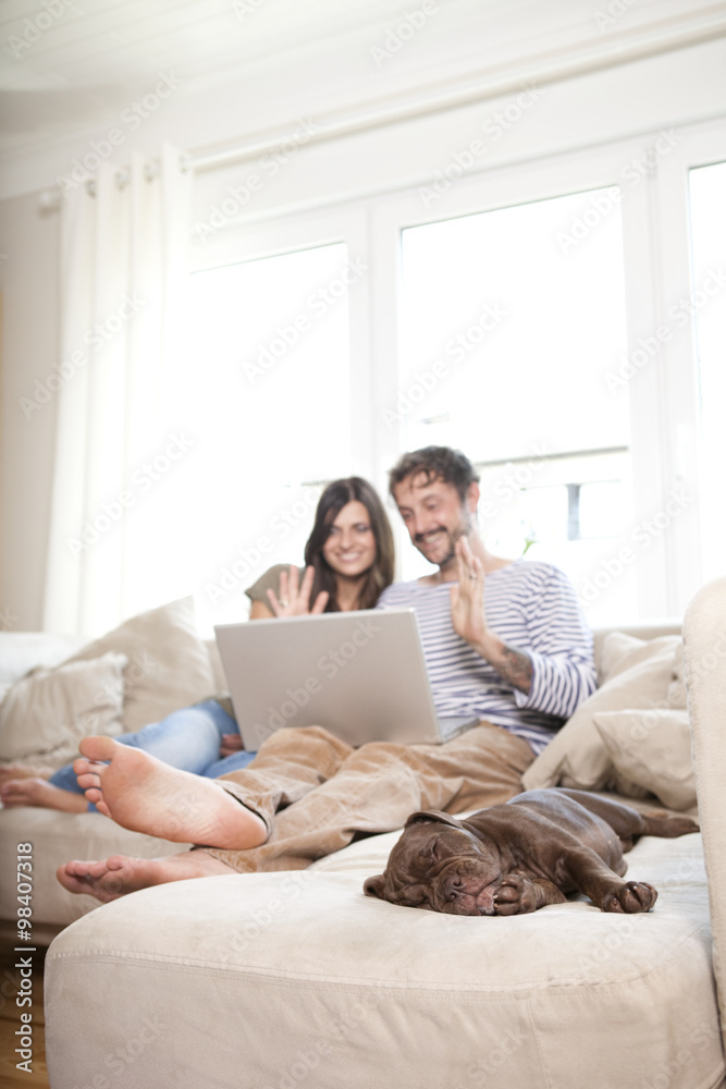 Olde English Bulldogge sleeping on the couch while couple relaxing in the background Olde English Bulldogge sleeping on the couch while couple relaxing in the background