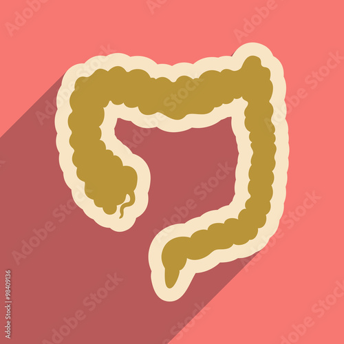 Icon of human duodenum in flat style