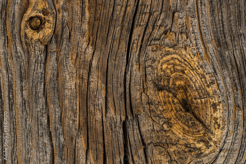 Brown wood texture - abstract background