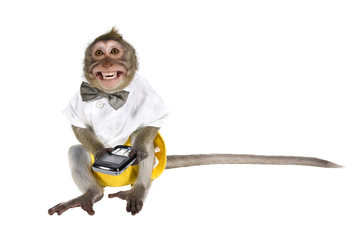 Fotobehang Aap Brutale aap met mobiele telefoon  © Irina K.