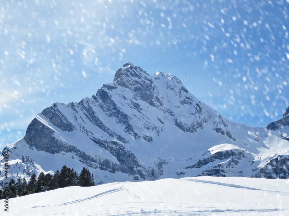 Obraz premium Alpine view