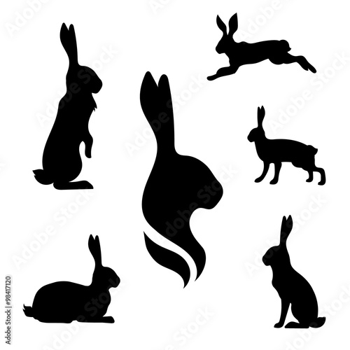 Photographie Hare set vector