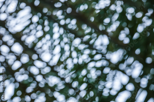 Natural green bright blur background