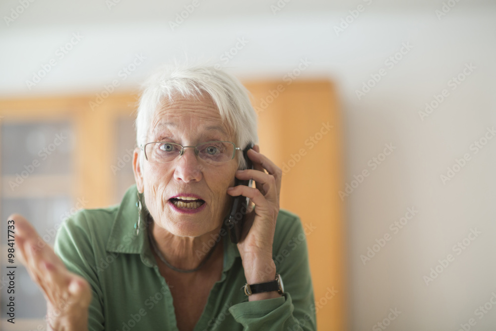 Portrait of white haired senior woman telephoning at home Portrait of white haired senior woman telephoning at home