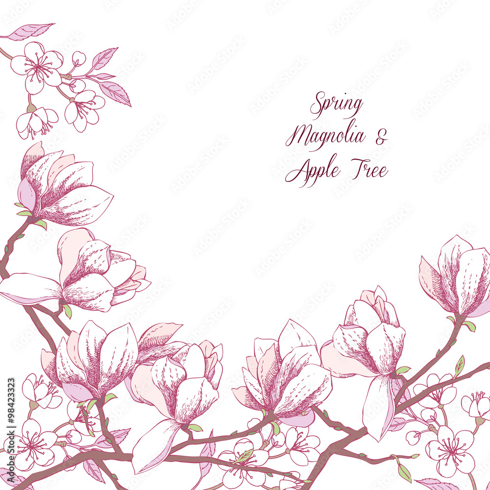 Background with magnolia and apple tree