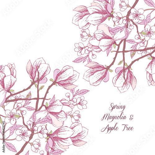 Background with magnolia and apple tree