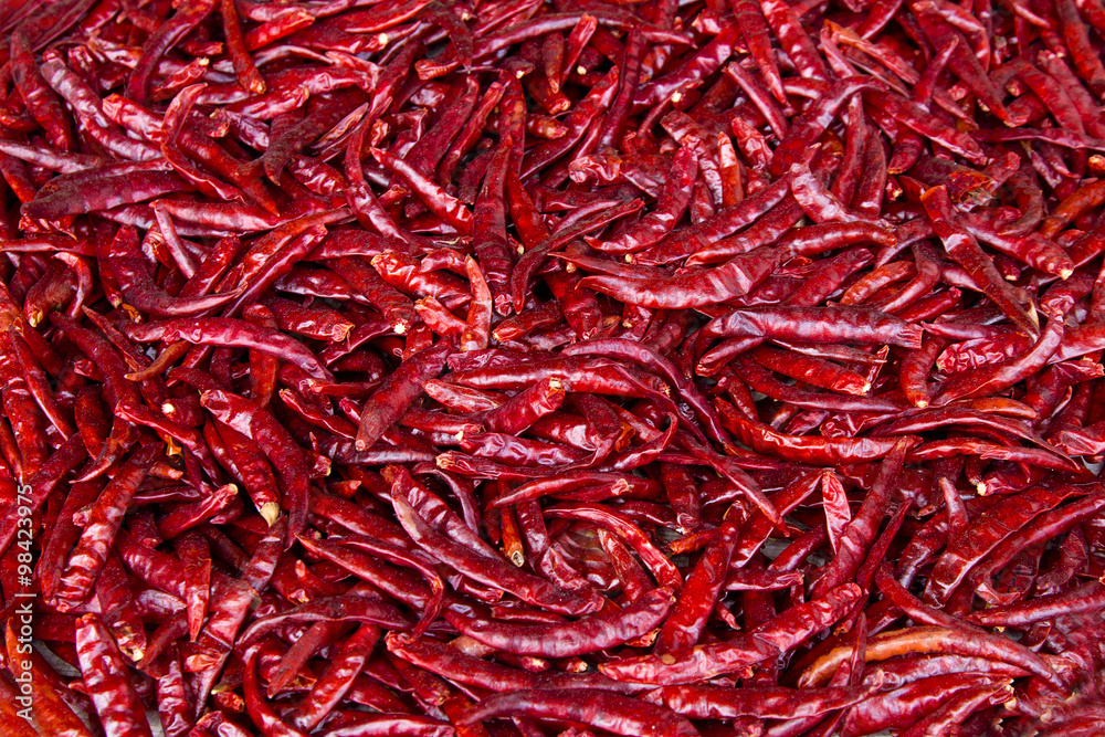 Fototapeta premium heap of fresh hot red chilly on the ground under sunlight