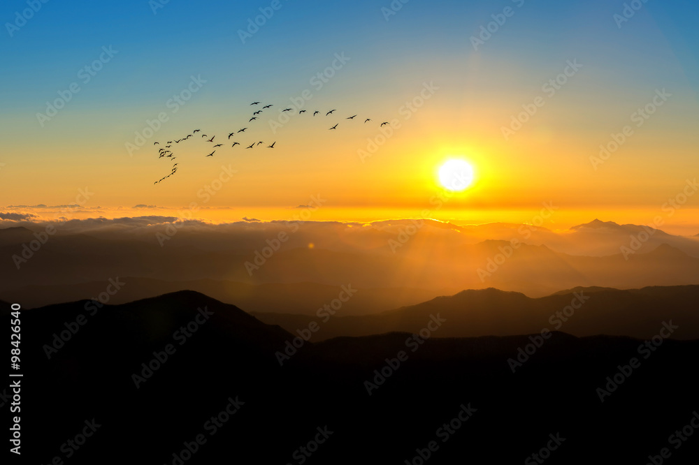 Sunrise with beautiful Lens Flare and silhouettes of birds at De