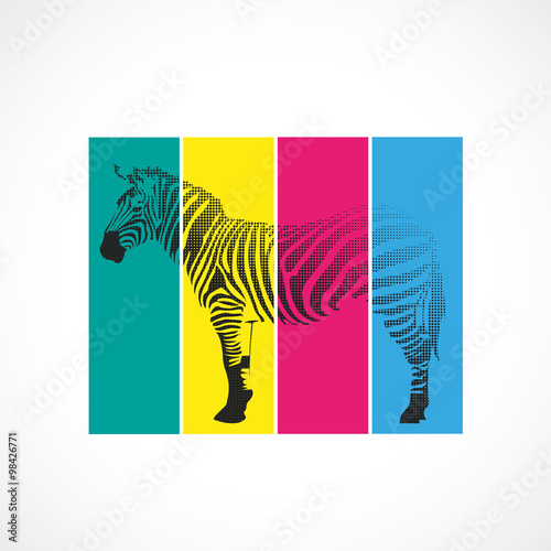 zèbre coloré,vecteur