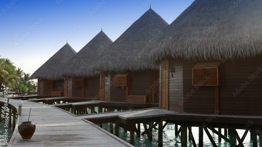 Huts in the sea and a palm tree Huts in the sea and a palm tree