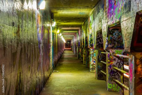 Graffiti on the walls of Krog Street Tunnel in Atlanta, Georgia photo