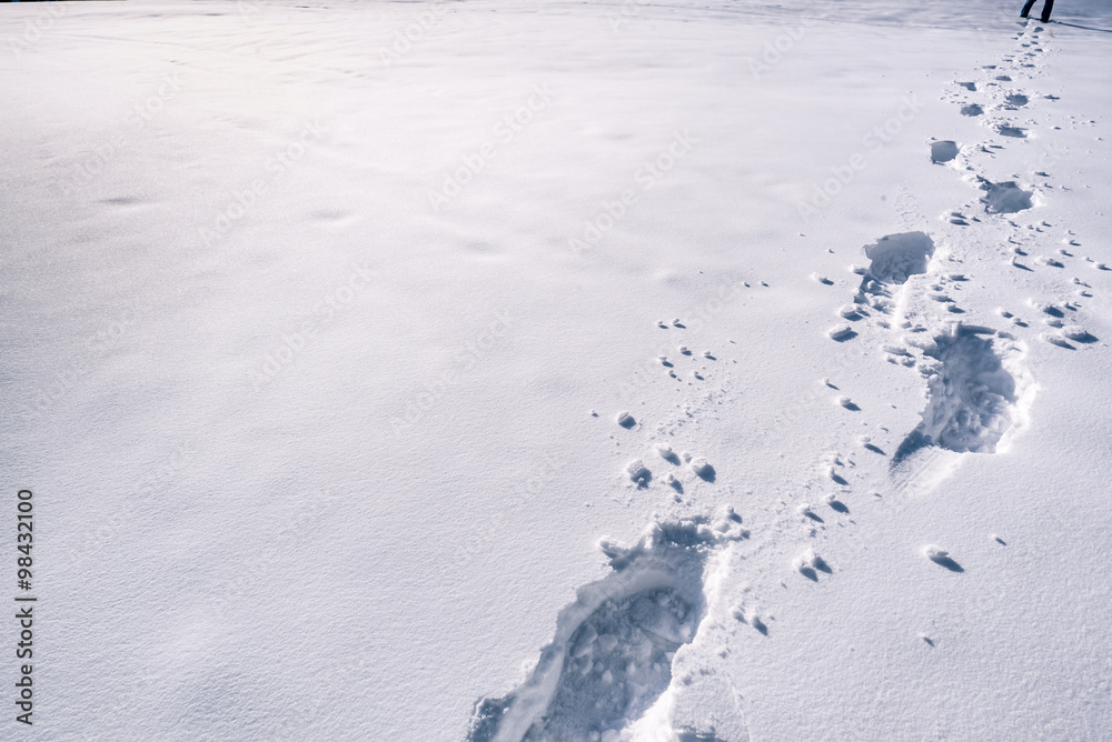 Naklejka premium Footsteps on snow An image with a trail of footprints in a thick layer of snow.