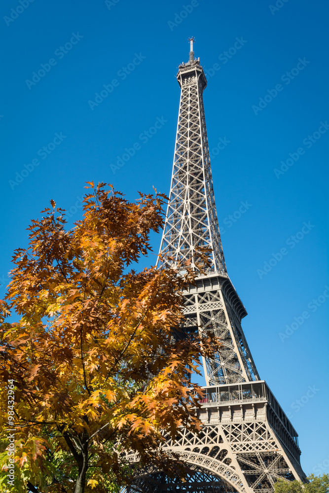 Autumn Eiffel Tower in Paris
