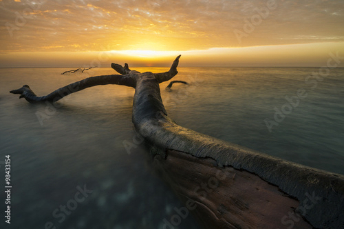 spectacular  colorful sunset over theBaltic  sea