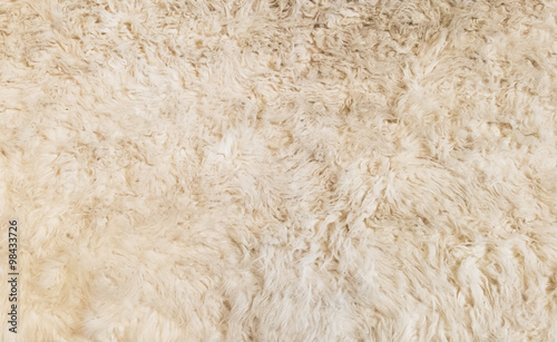 Soft White Fur Background Texture for Furniture Material