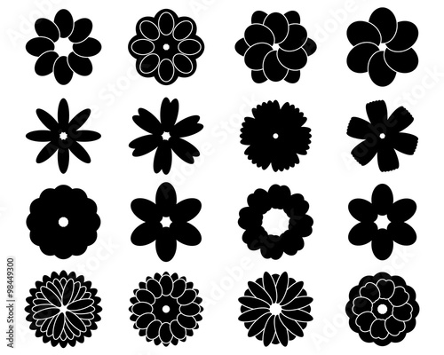 Fototapeta Naklejka Na Ścianę i Meble -  Silhouettes of  simple vector flowers