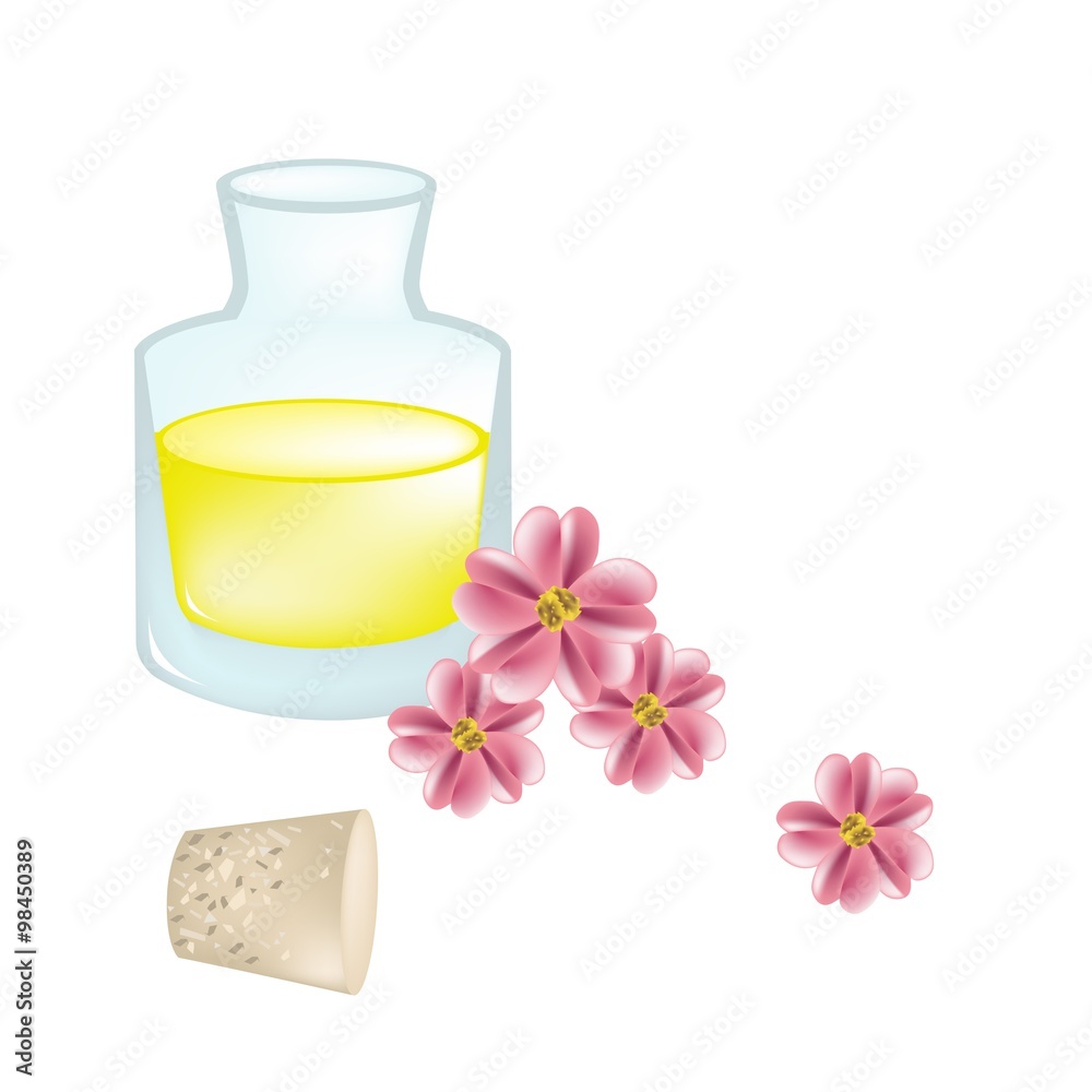 Old Rose Yarrow or Achillea Millefolium with Essential Oil Old Rose Yarrow or Achillea Millefolium with Essential Oil