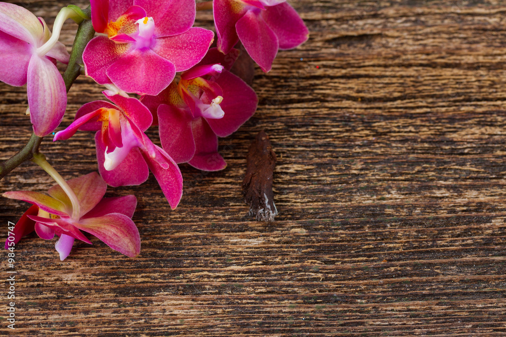 Fototapeta premium Bunch of violet orchids