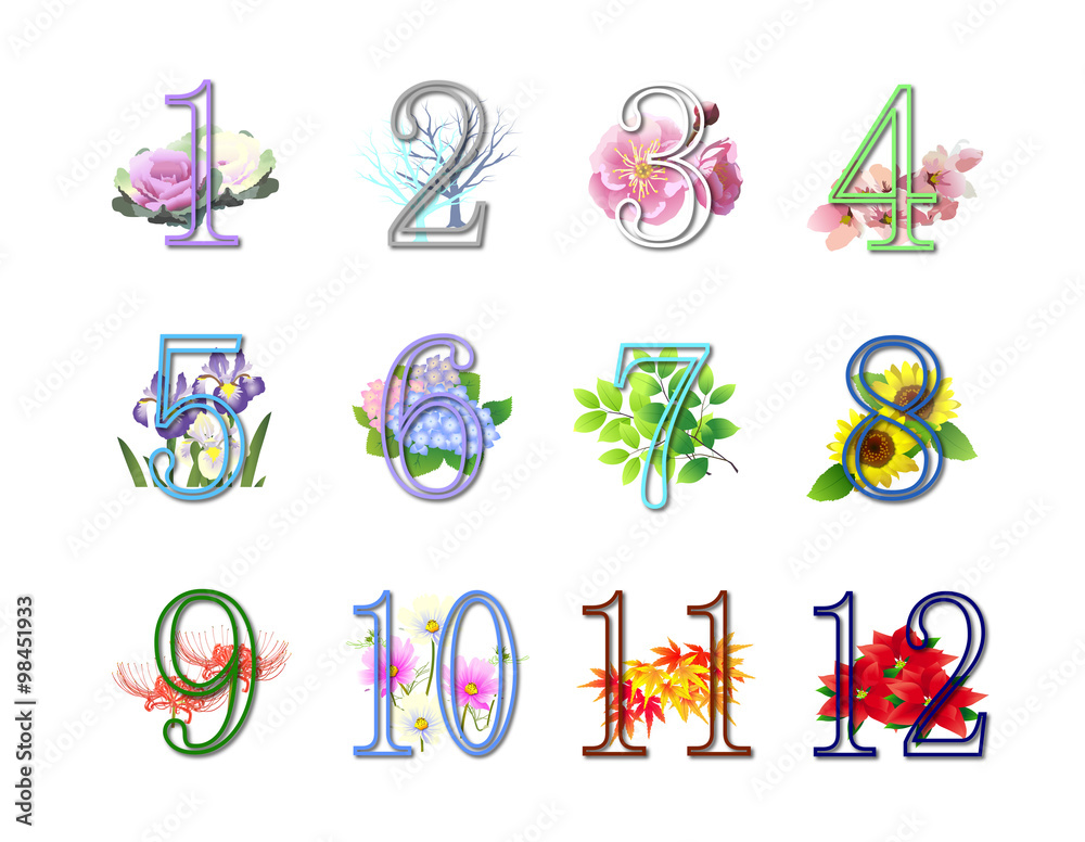 12か月季節の植物と数字 Stock Illustration Adobe Stock