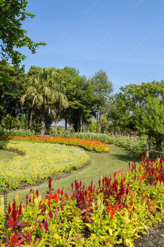 flower garden in Bangkok Thailand