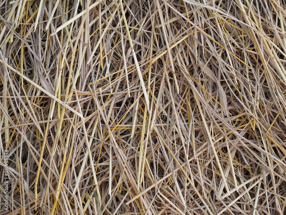 Stack of straw after harvesting in country area Stack of straw after harvesting in country area