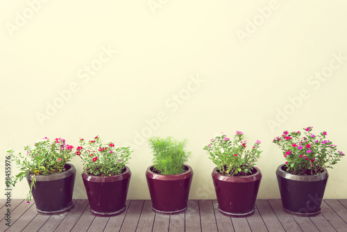 фотографія Flowers in flowerpots on wood floor with blank wall, vintage sty