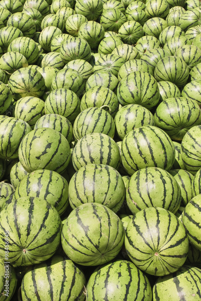 Large quantity of fresh green watermelons Large quantity of fresh green watermelons