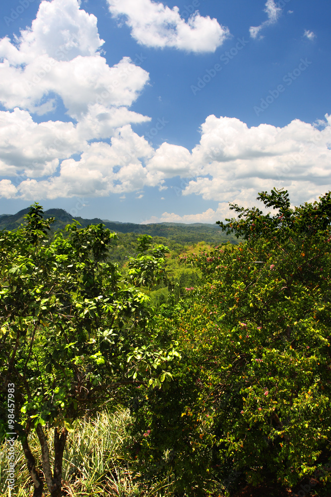 Croydon Plantation, Jamaica..