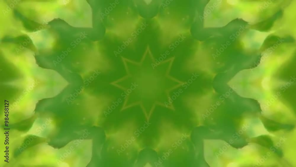 Beautiful green and orange circle kaleidoscopic pattern of abstract flower in eco style. Breathtaking meditative and hypnotic texture. Superb fractal animation. Loopable. Full HD footage 1920x1080
