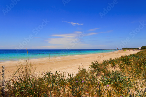 SUMMERTIME.Ionian coast of Salento:Torre Pali beach (Lecce). ITALY (Apulia).The low sandy coastline is characterized by dunes covered with Mediterranean scrub.
