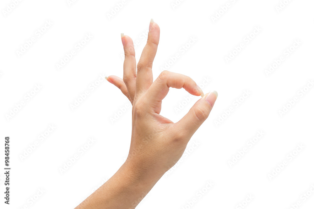 female hand on the isolated on white background female hand on the isolated on white background